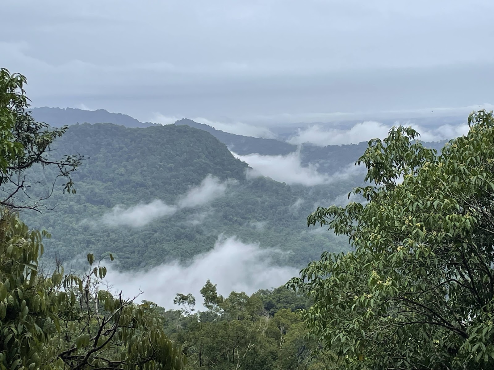 Mookambika Wildlife Sanctuary