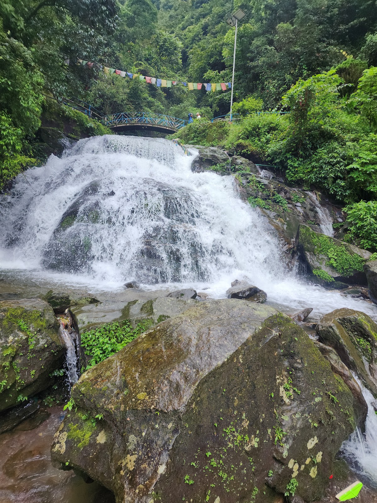 Rock Garden Darjeeling