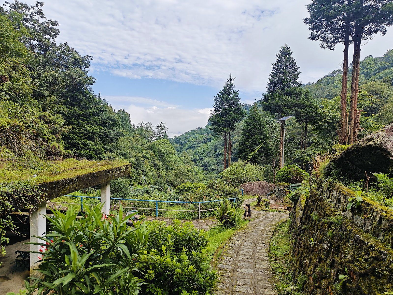 Rock Garden Darjeeling