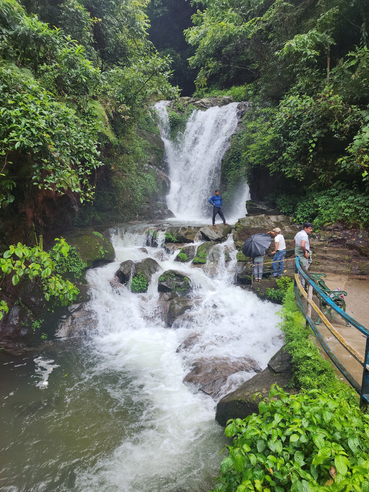 Rock Garden Darjeeling