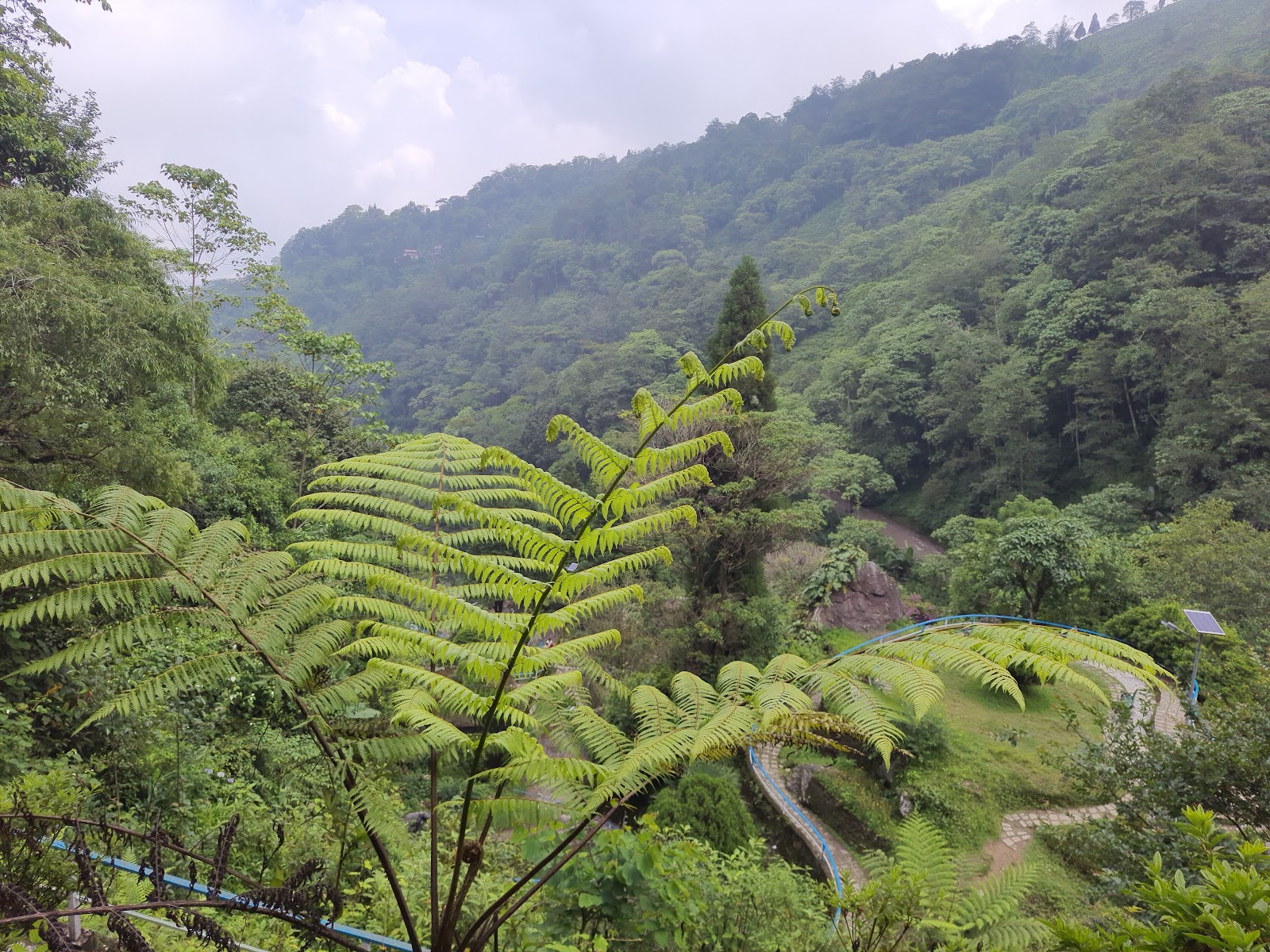 Rock Garden Darjeeling