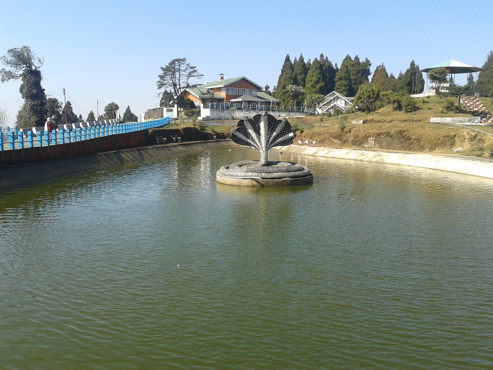Sukhiapokhri Tea Estate Walk