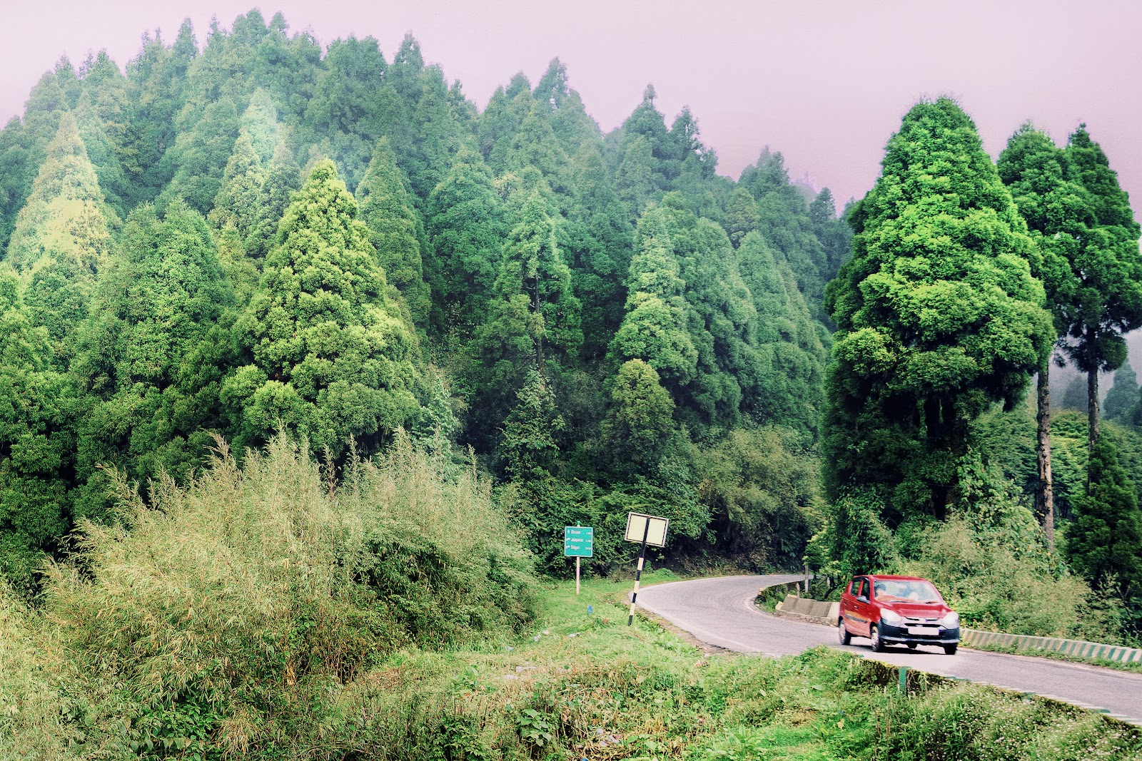 Sukhiapokhri Tea Estate Walk