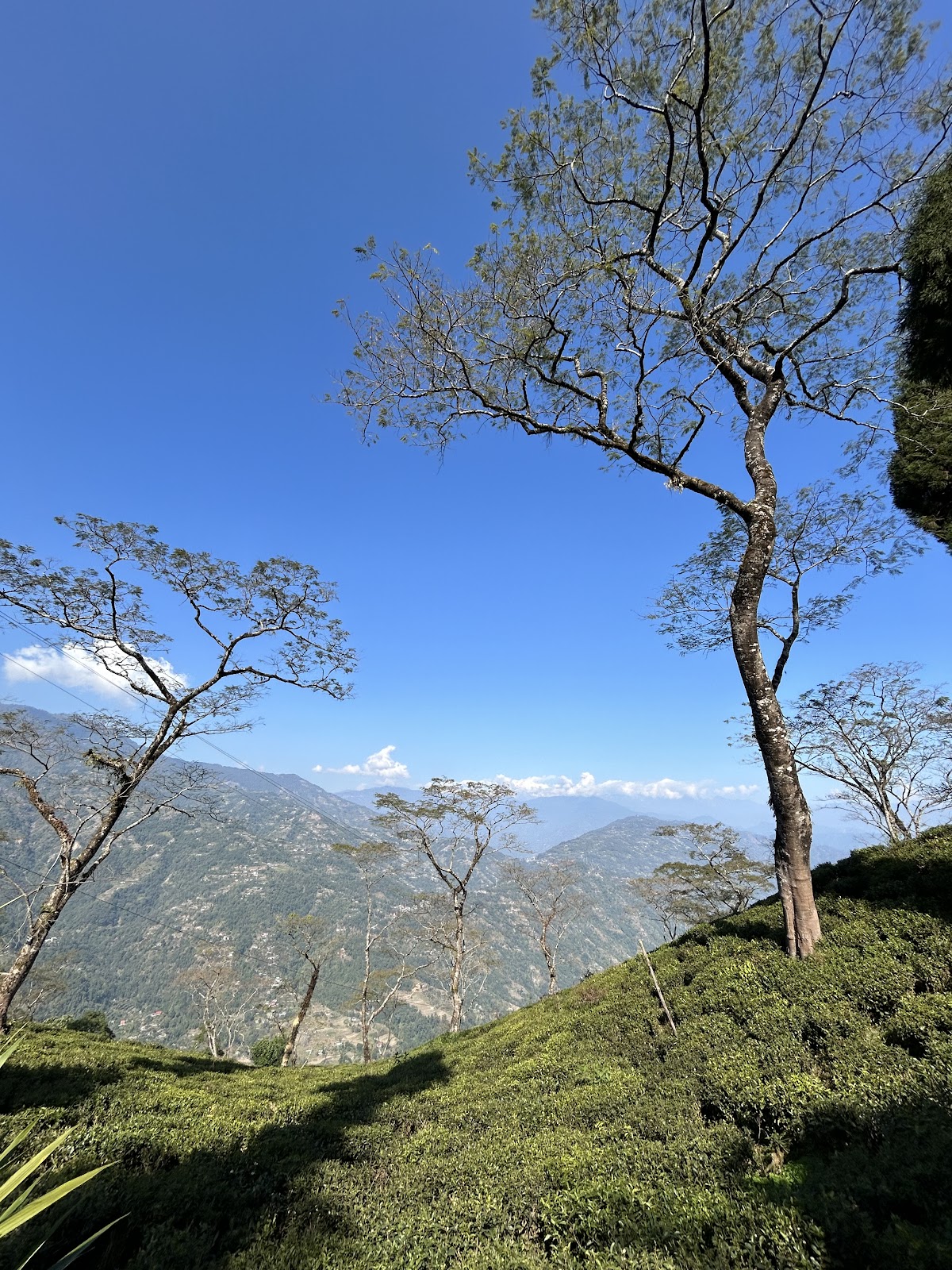 Sukhiapokhri Viewpoint