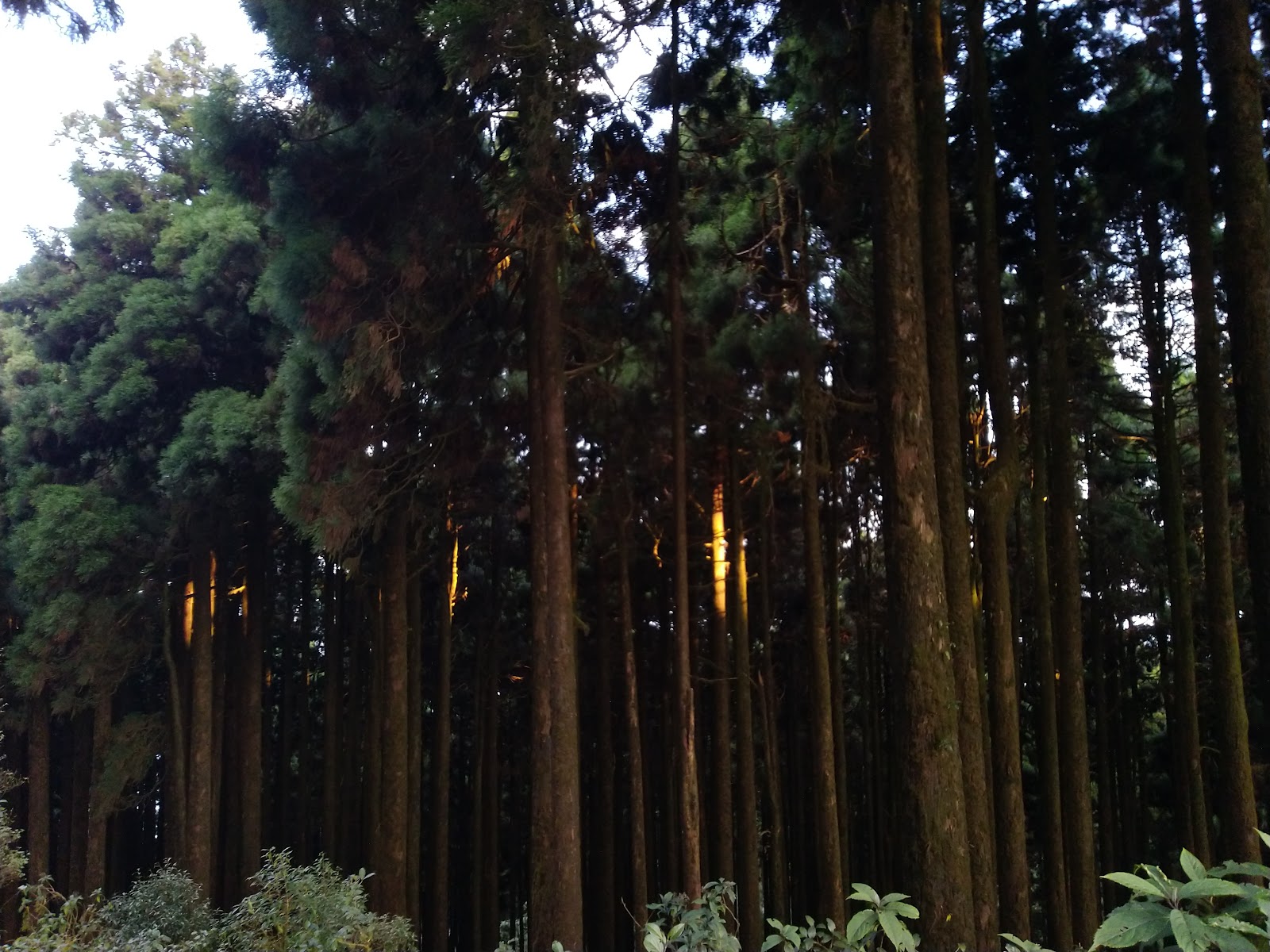 Sunset Point at Sukhiapokhri