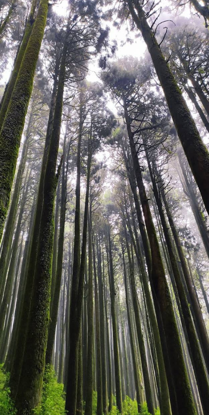 Sunset Point at Sukhiapokhri