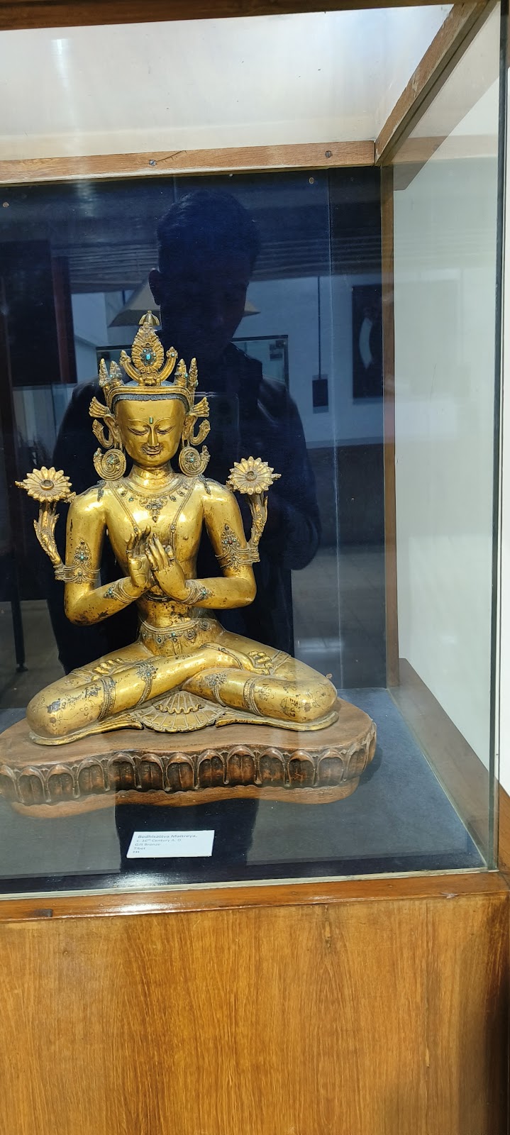 Government Museum and Art Gallery