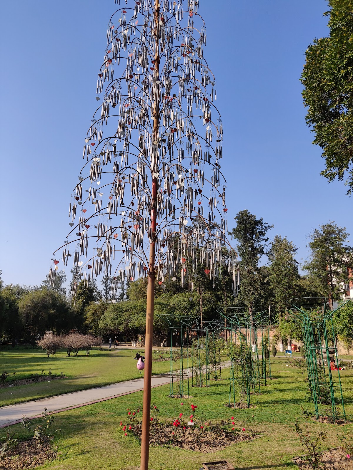 Zakir Hussain Rose Garden