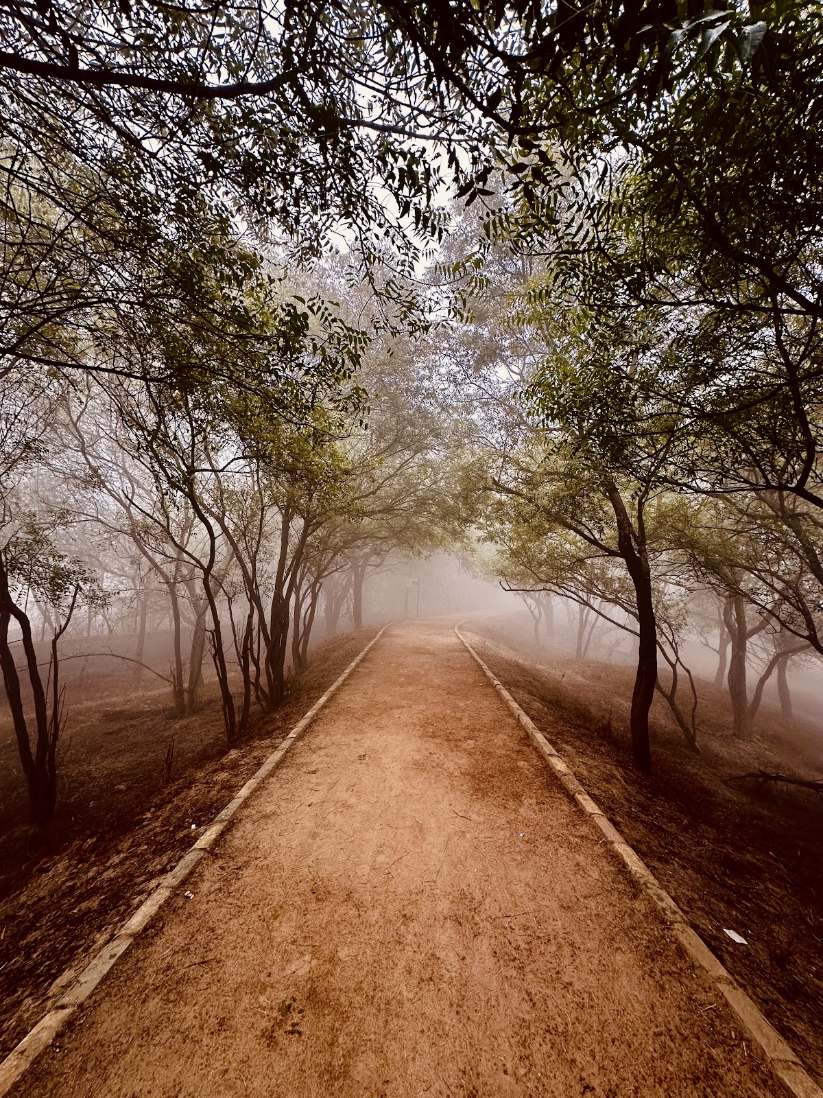 Sultanpur Bird Sanctuary