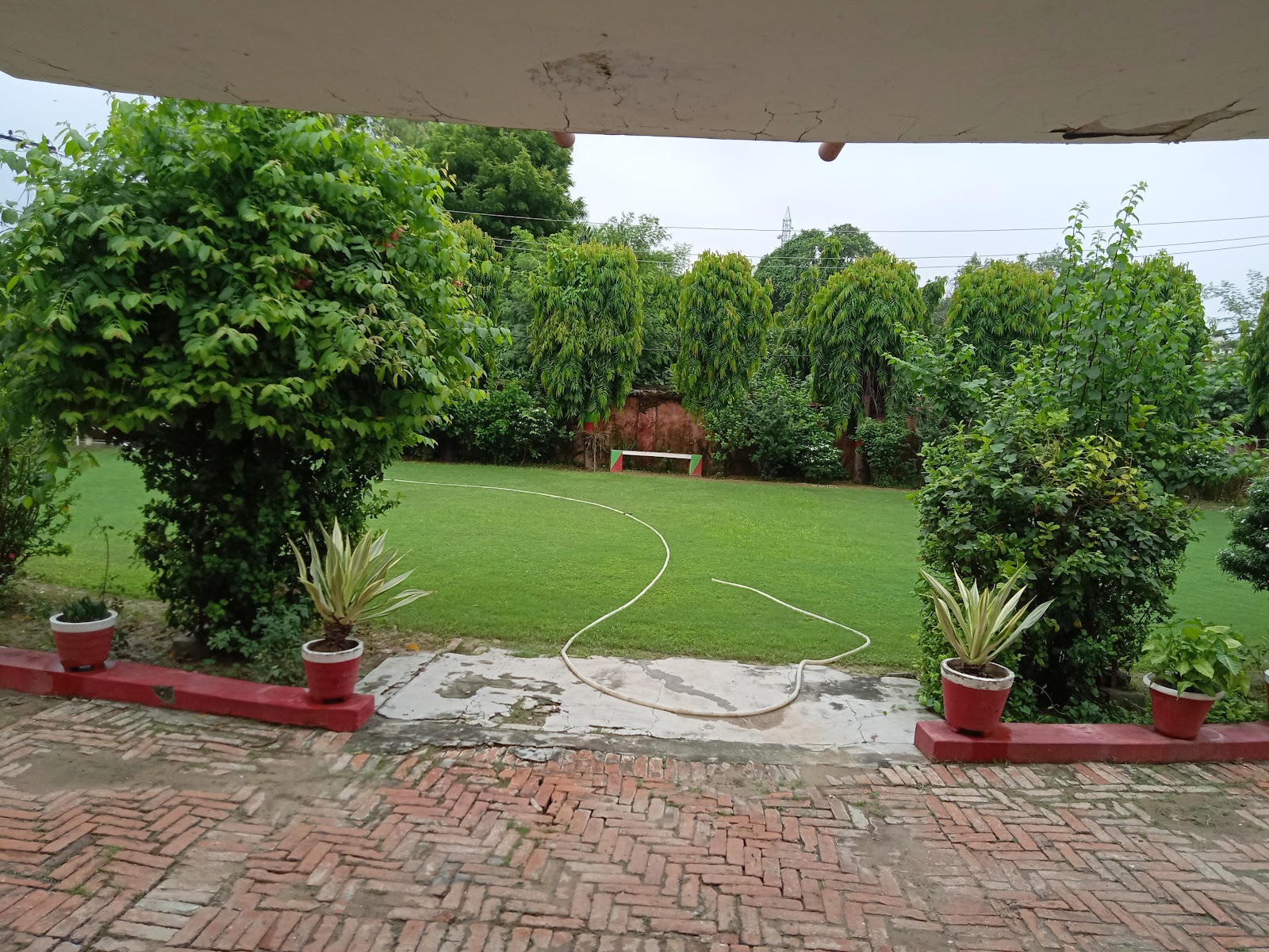 City Forest Sultanpur