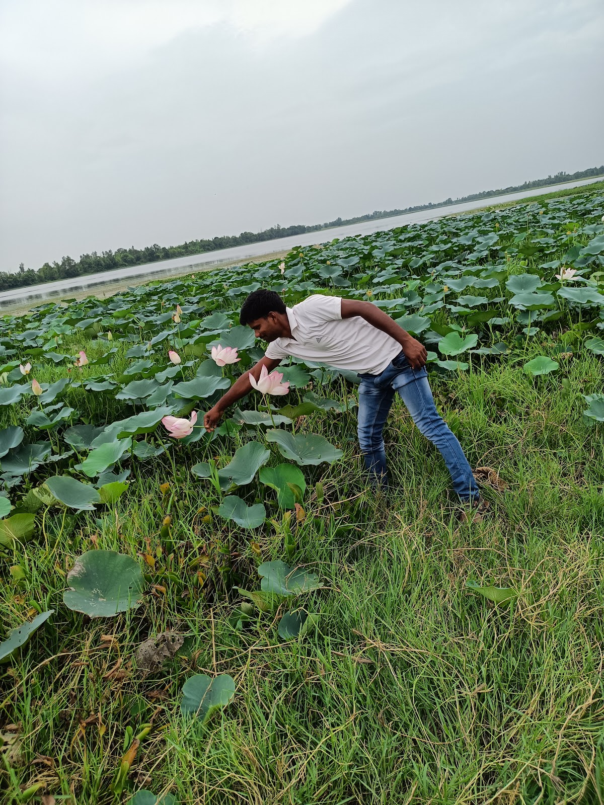 Parvati Arga Bird Sanctuary