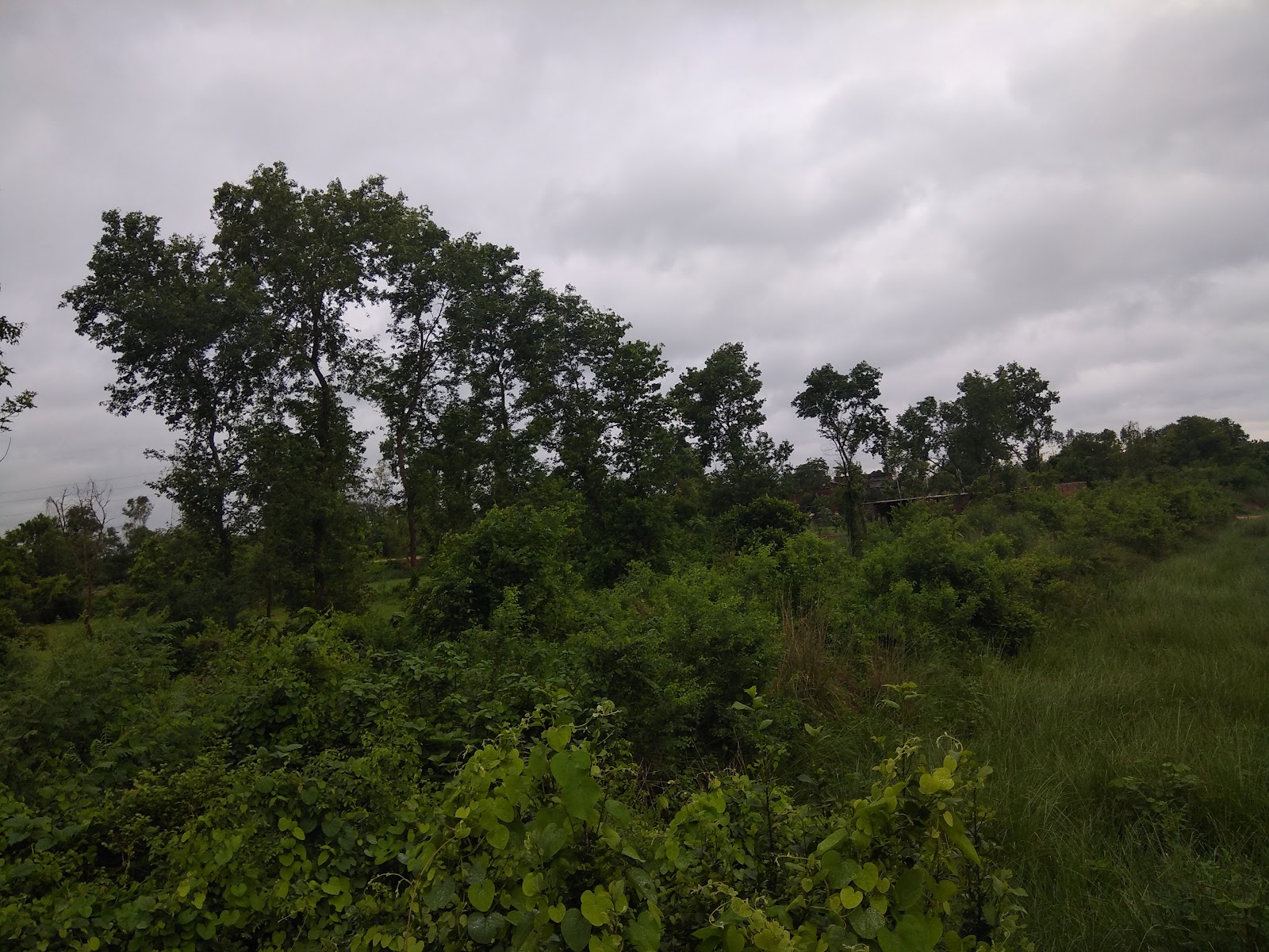 Parvati Arga Bird Sanctuary