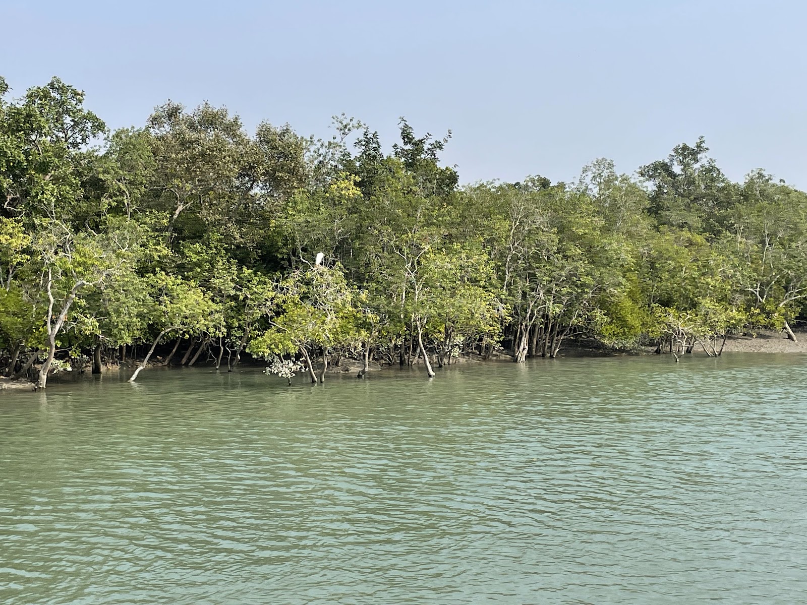 Netidhopani Watch Tower