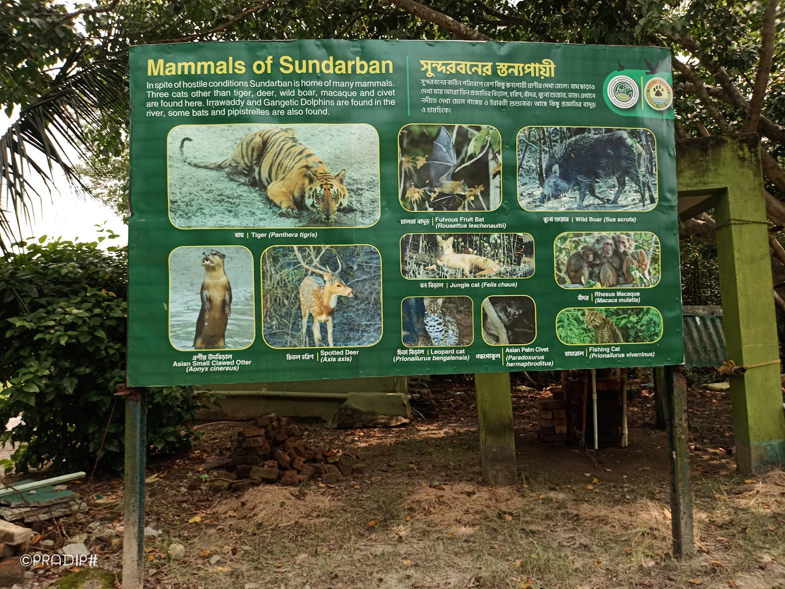 Netidhopani Watch Tower