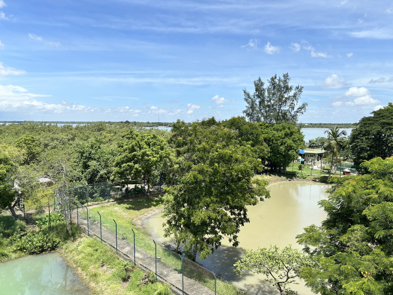 Sajnekhali Watch Tower