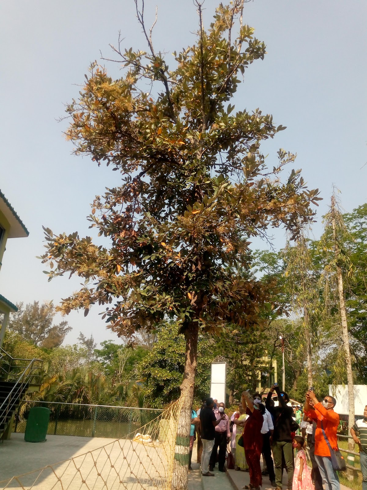 Sajnekhali Watch Tower