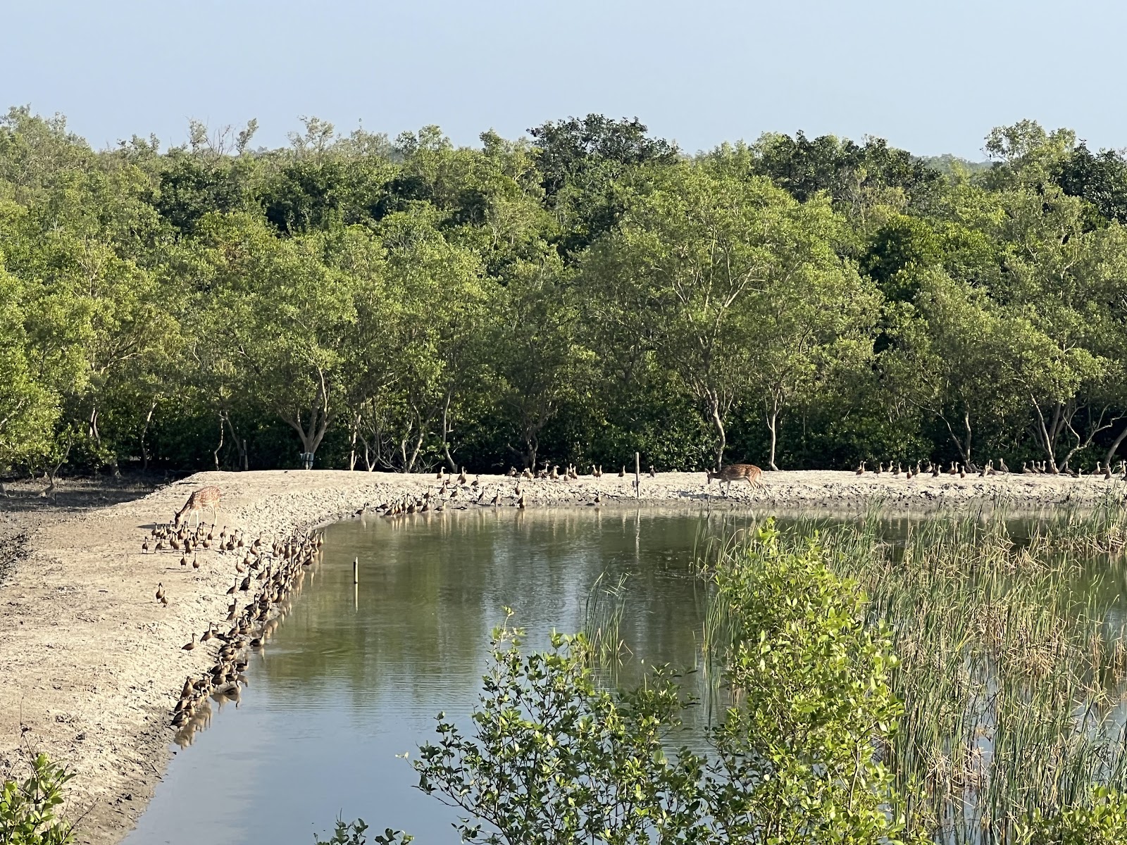 Sundarbans Biosphere Reserve