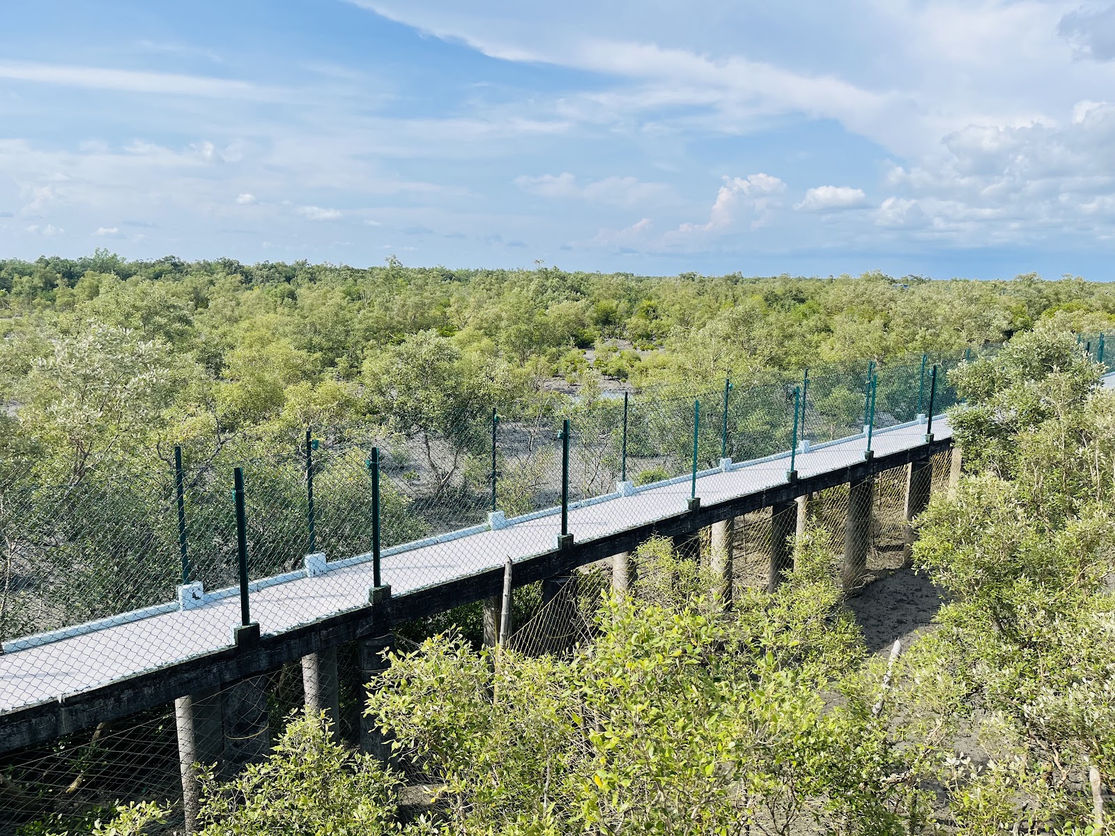 Sundarbans Biosphere Reserve