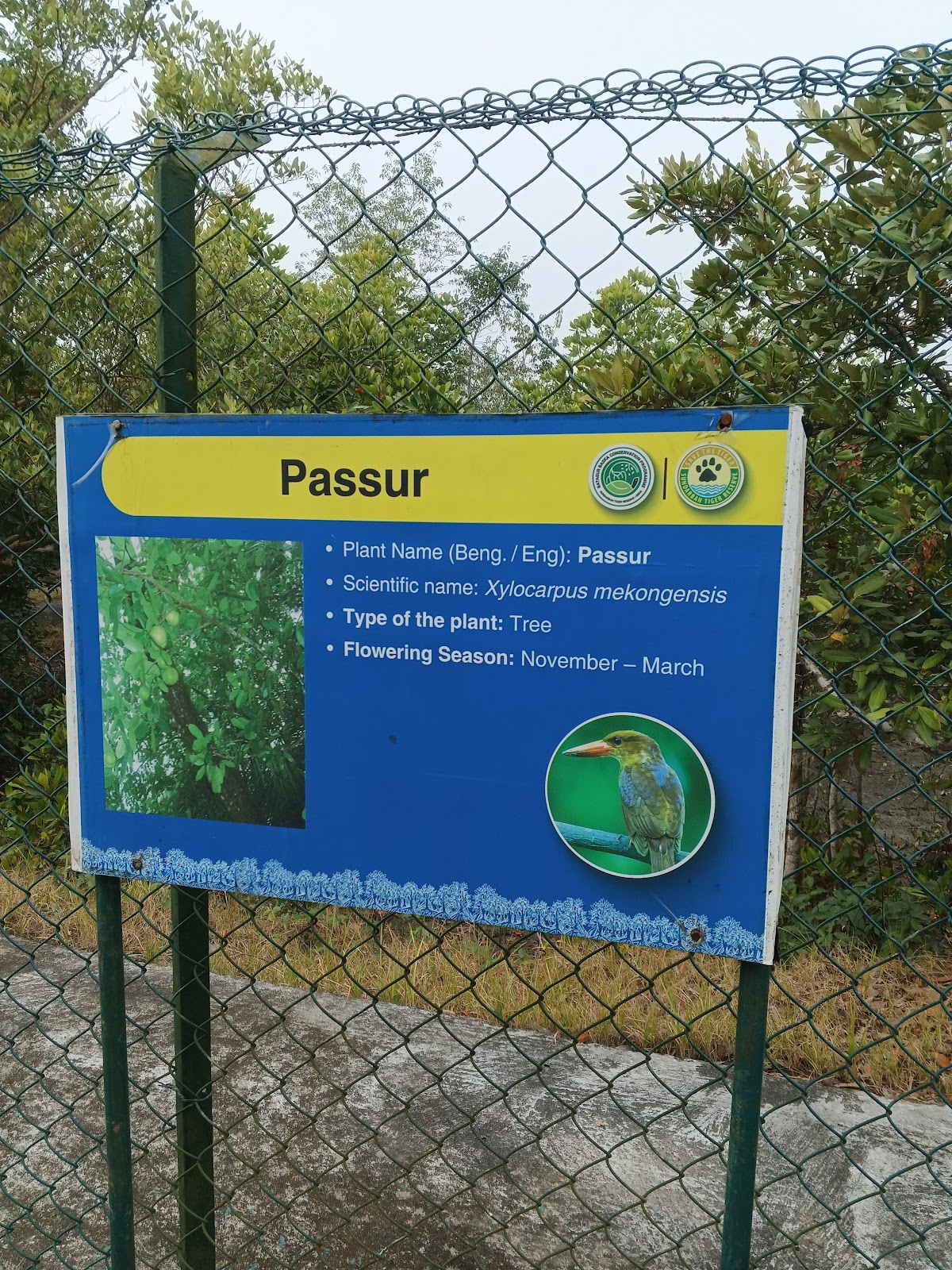 Sundarbans Tiger Reserve