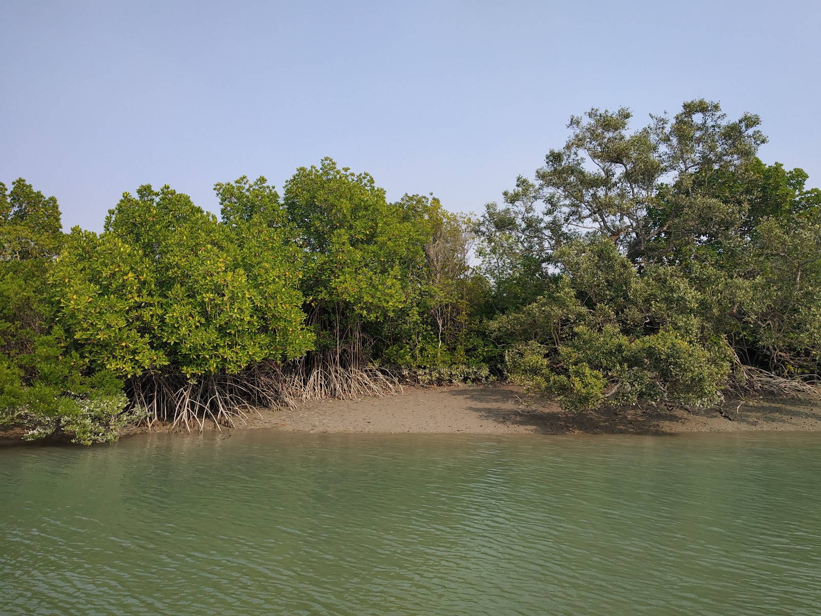 Sundarbans - A Wildlife Paradise in West Bengal, India