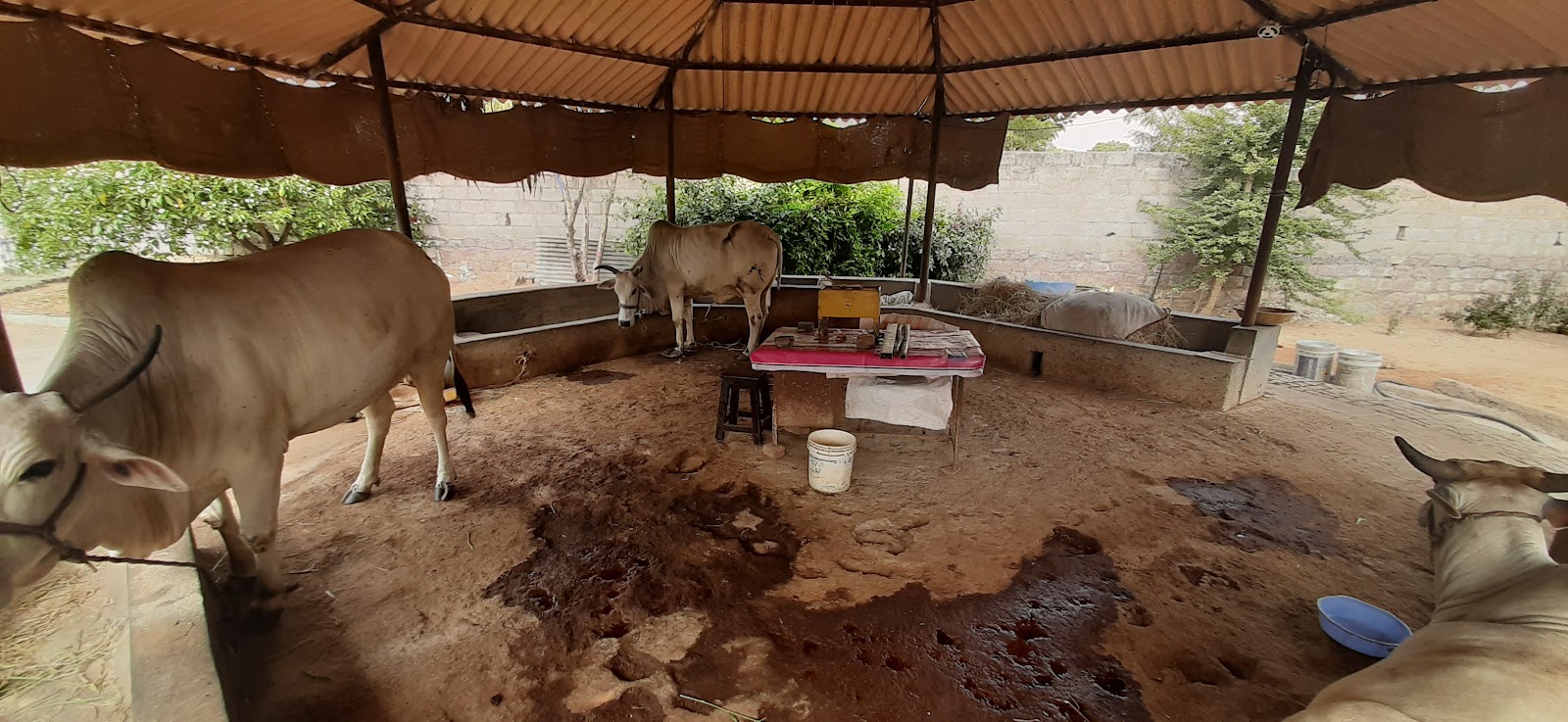 Anjaneya Swamy Temple