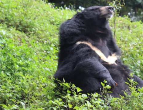 Bengal Heritage Museum