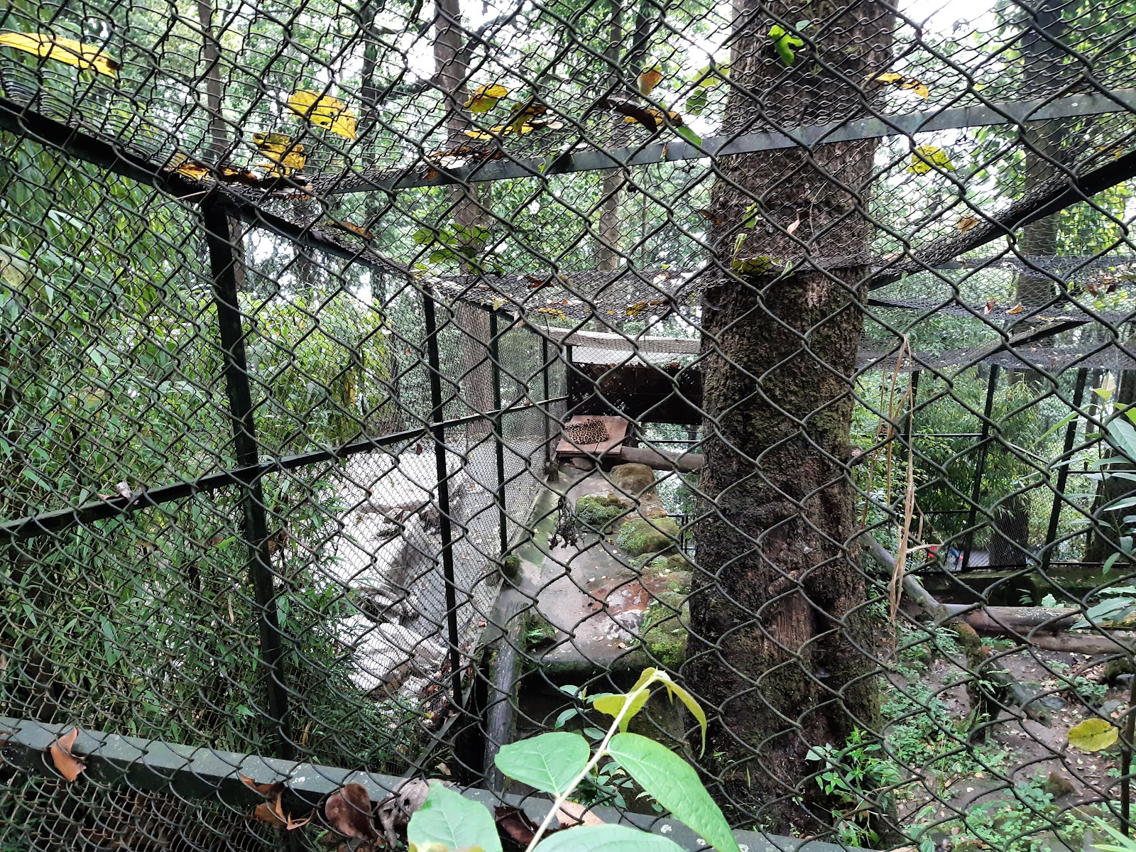 Bengal Heritage Museum