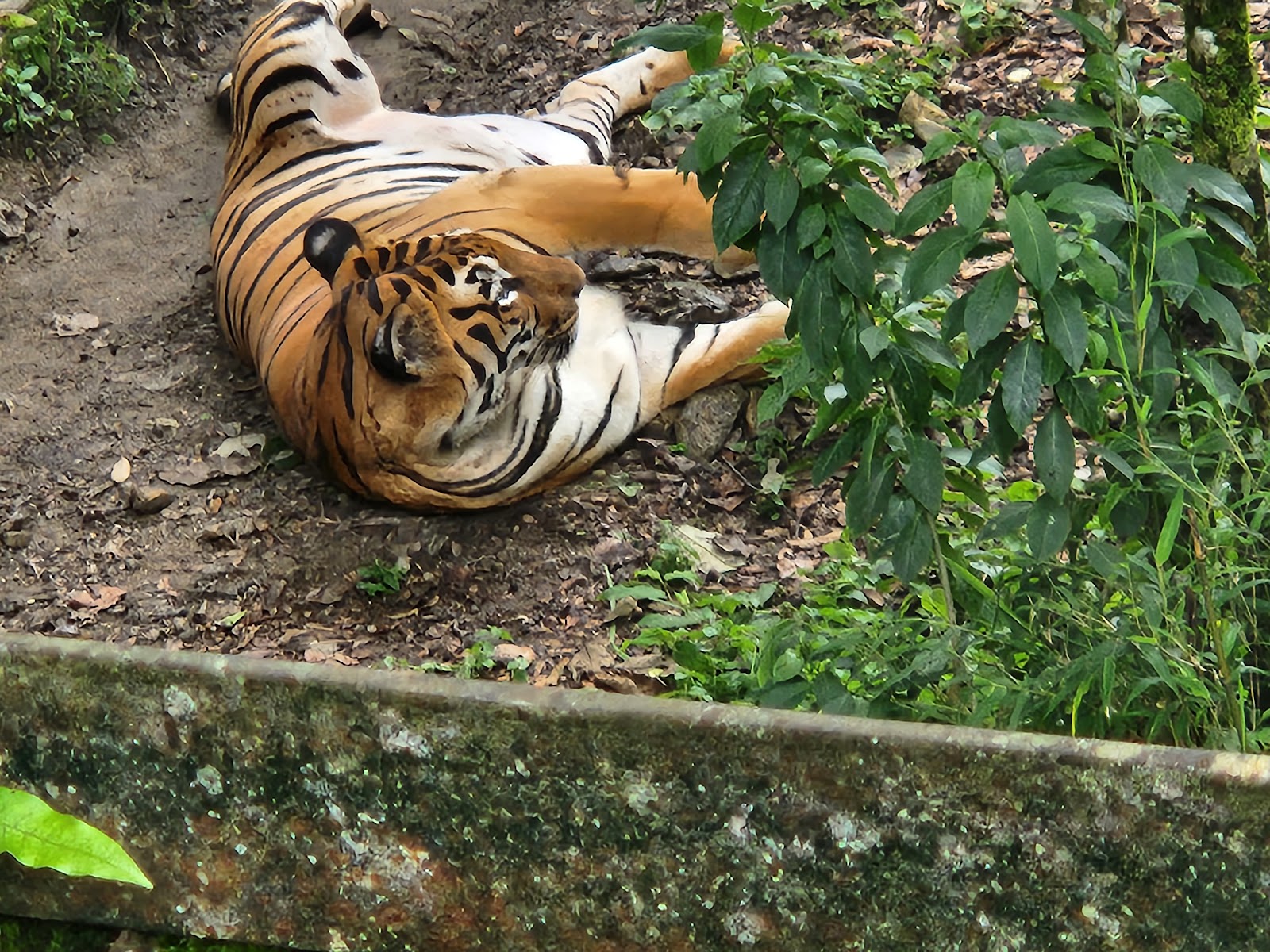 Bengal Heritage Museum