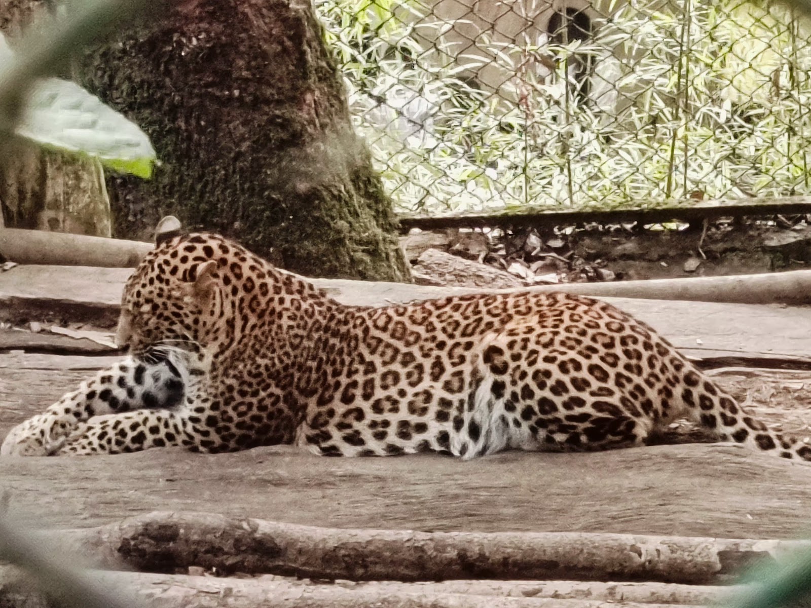 Bengal Heritage Museum