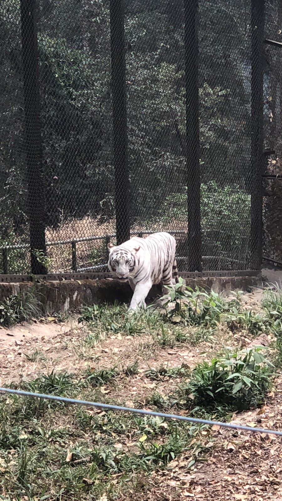 Bengal Heritage Museum
