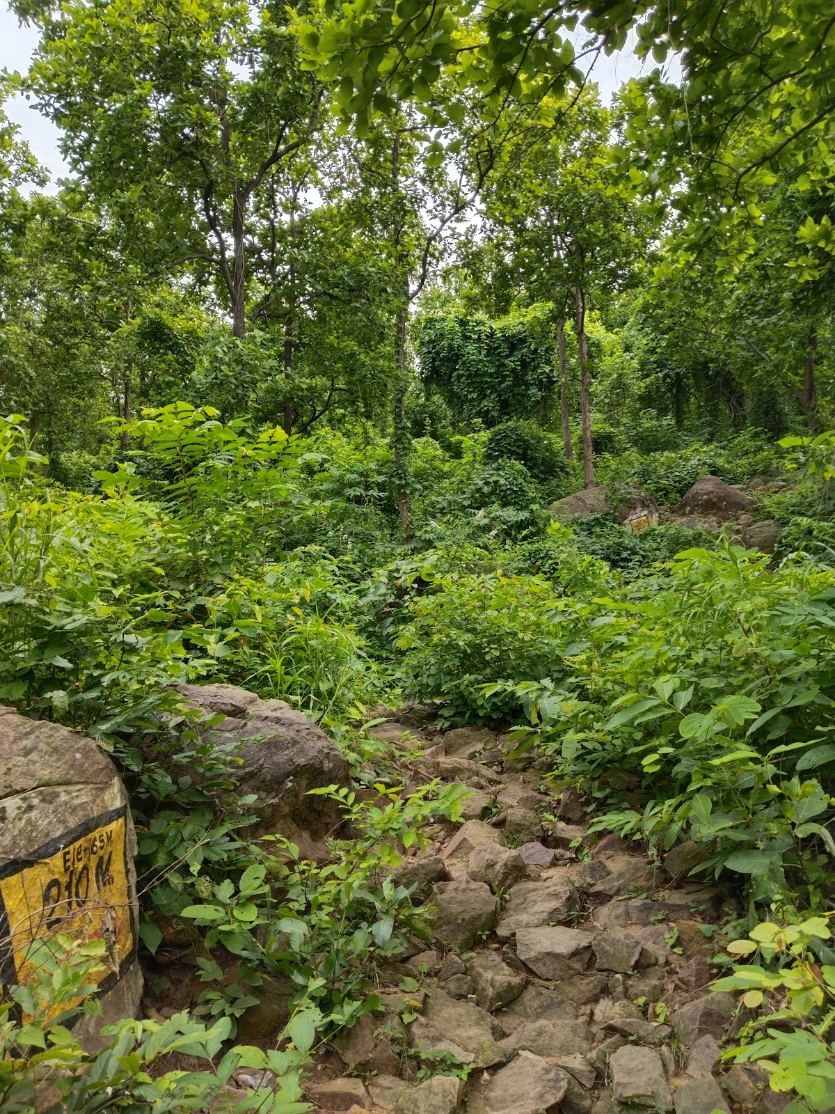 Biharinath Hill