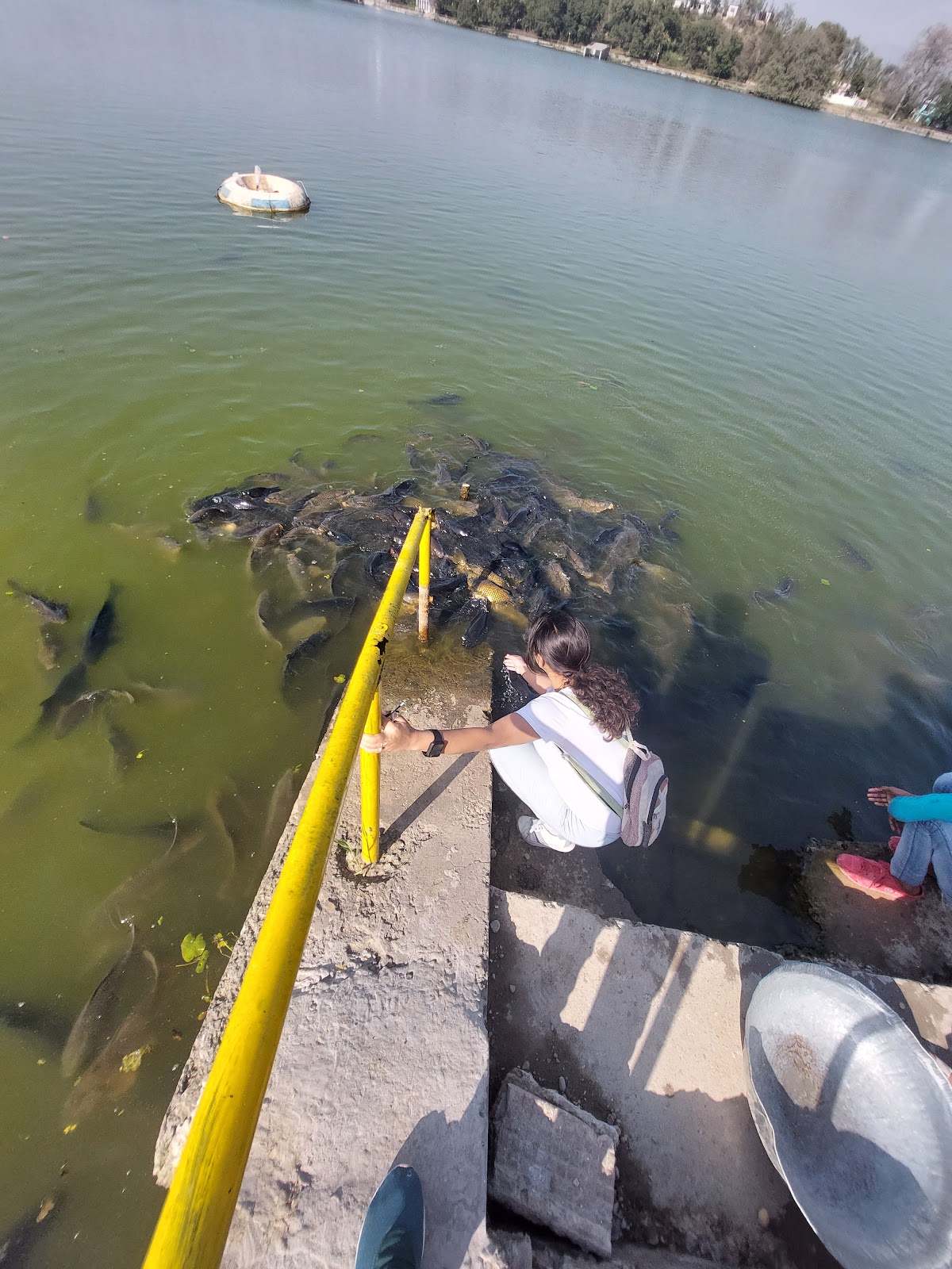 Surinsar Wildlife Sanctuary