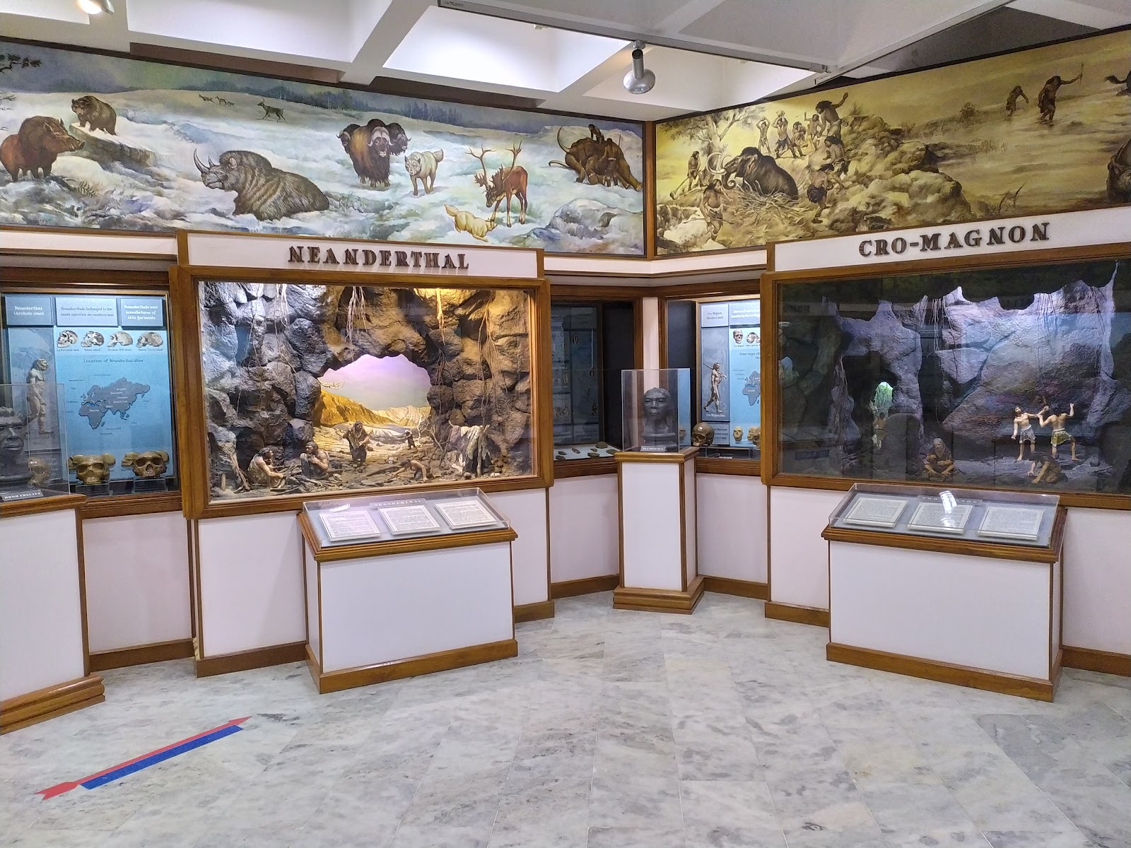 Don Bosco Centre for Indigenous Cultures