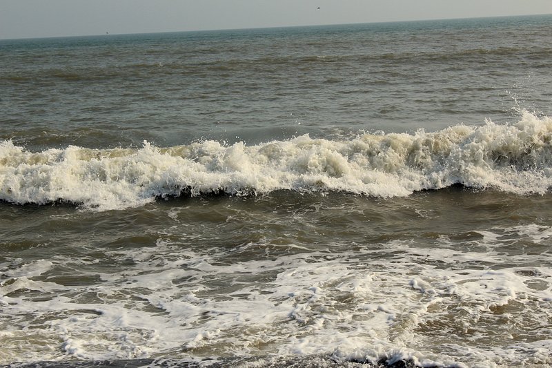 Shankarpur Beach