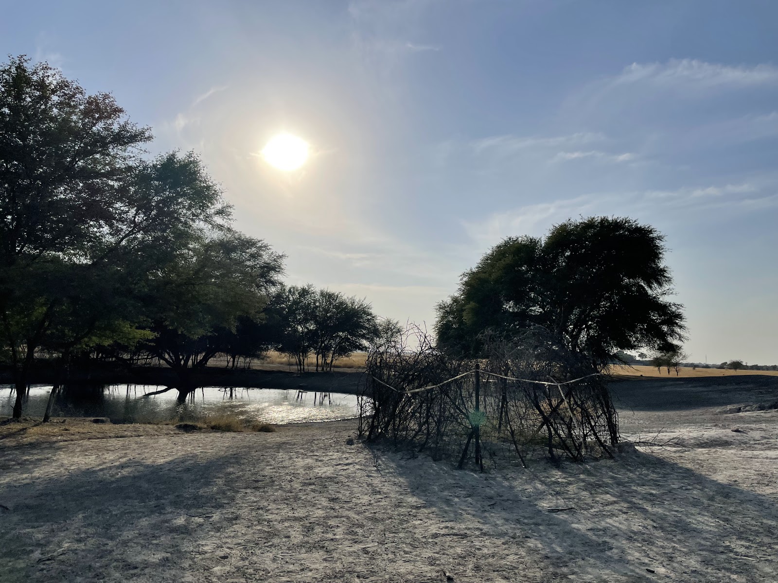 Blackbuck Breeding Centre