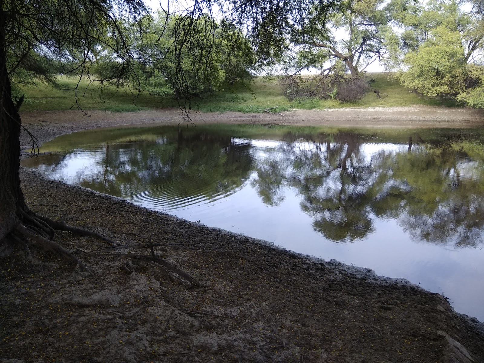 Blackbuck Breeding Centre