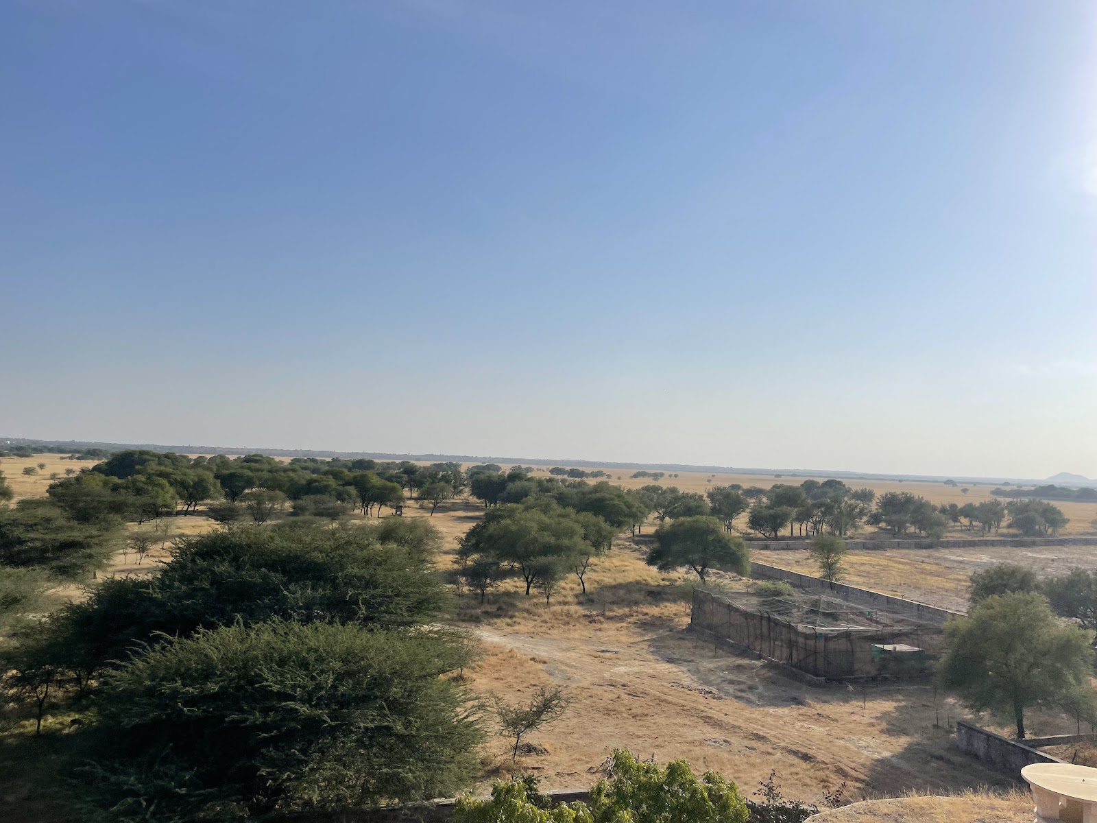 Blackbuck Breeding Centre
