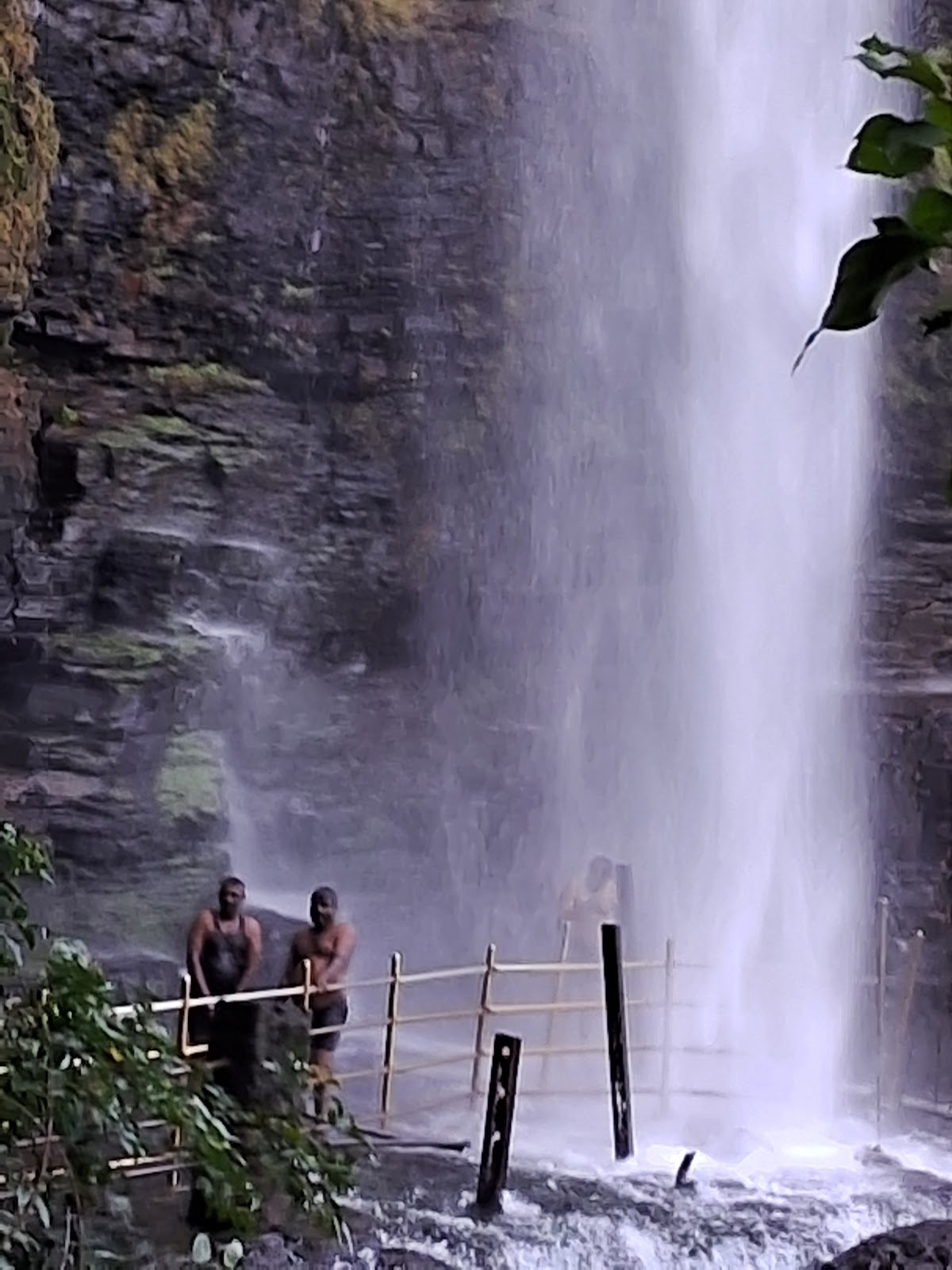Talakona Forest Reserve