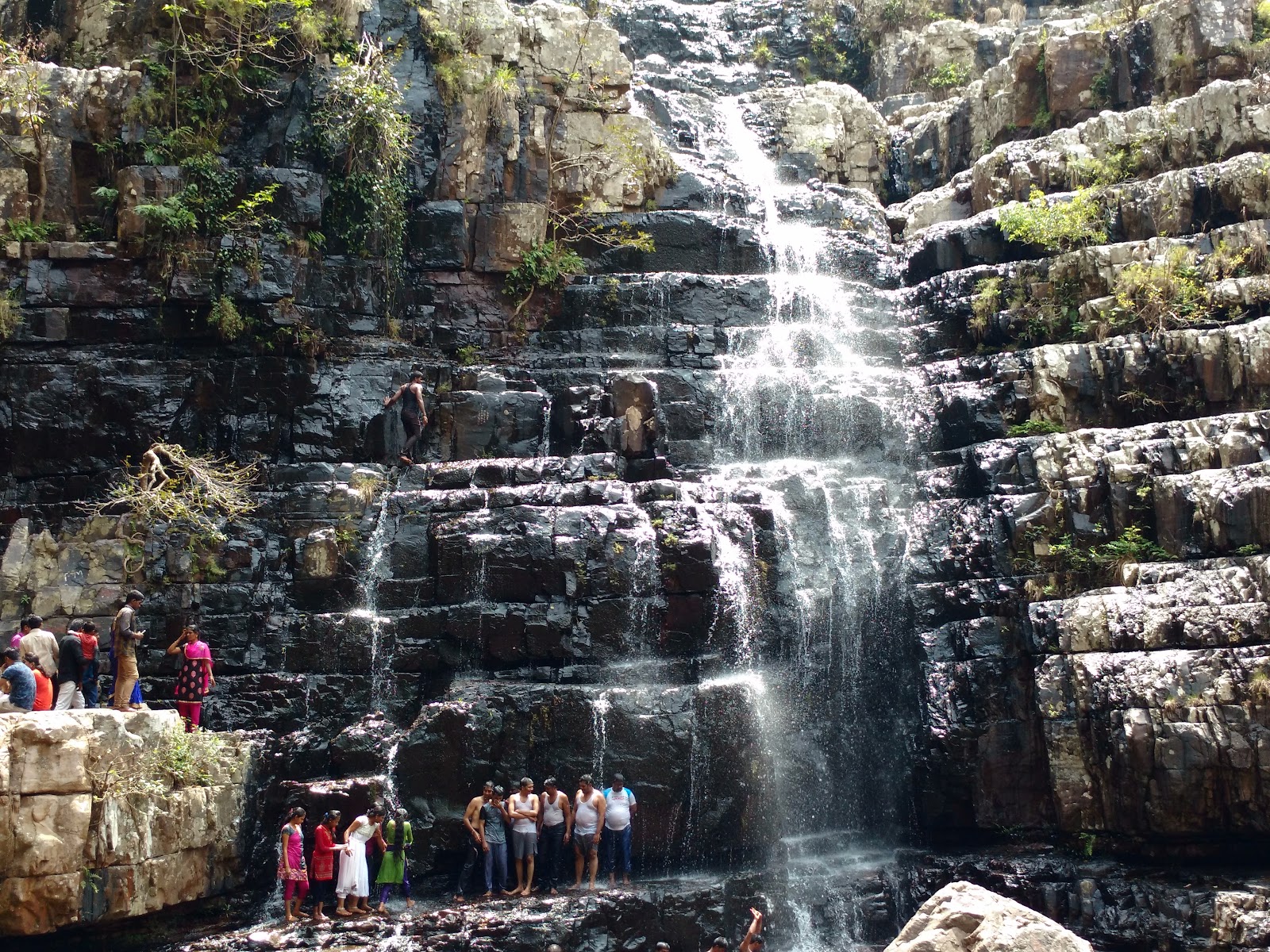 Talakona Forest Reserve