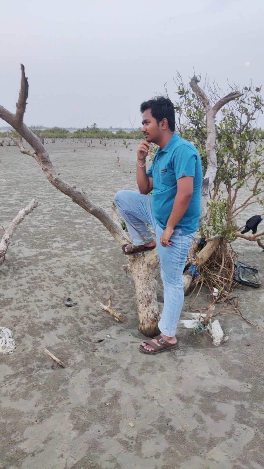 Mangrove and Creek Walks