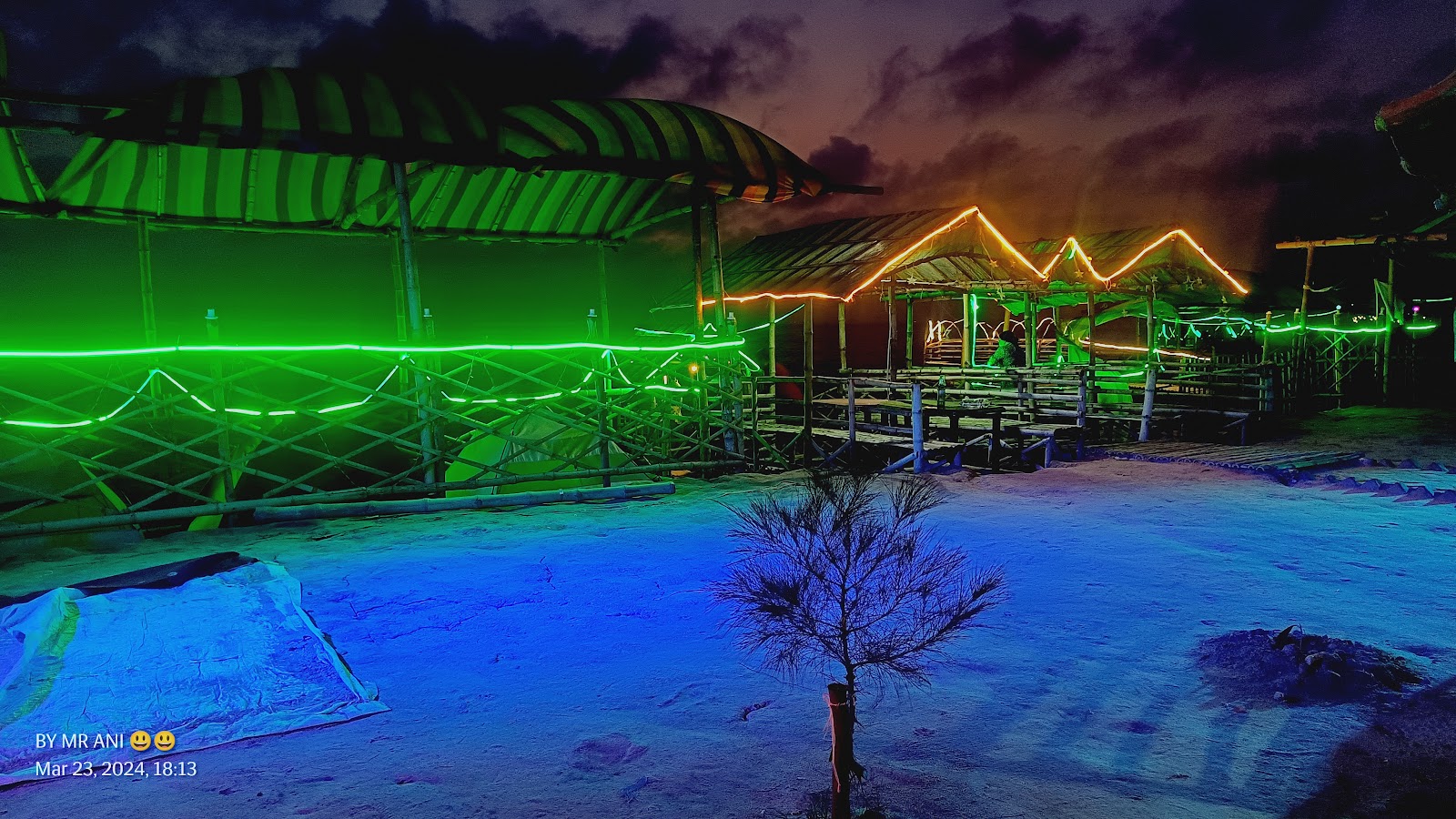 Mangrove and Creek Walks