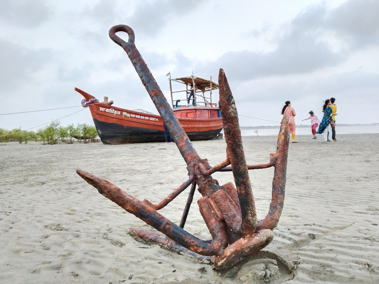 Mangrove and Creek Walks