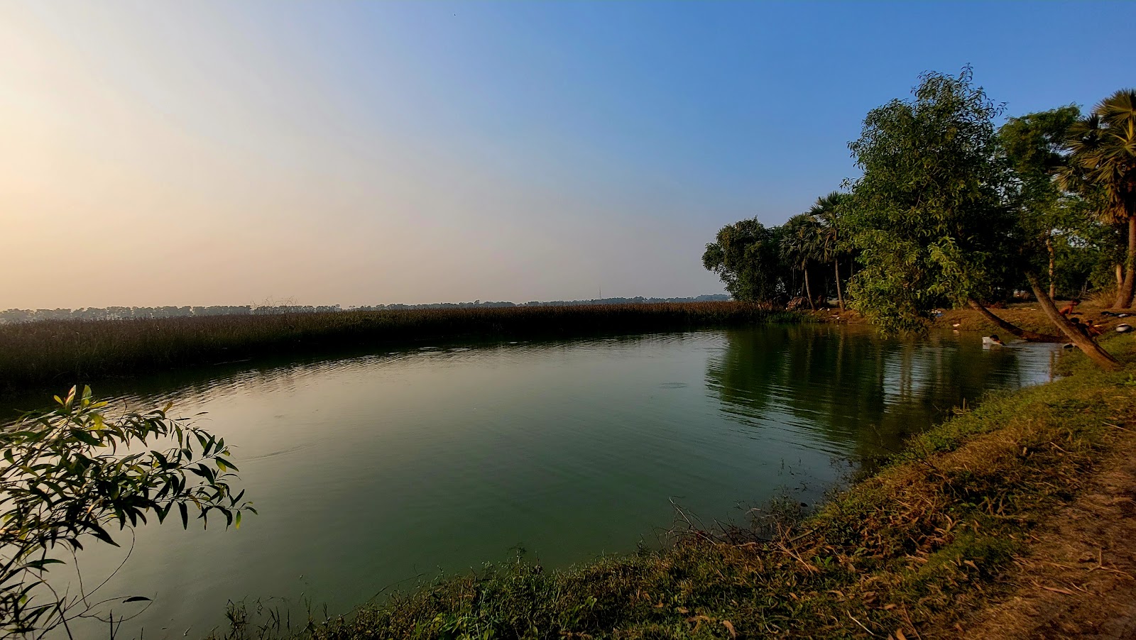 Talsari Fishing Harbour