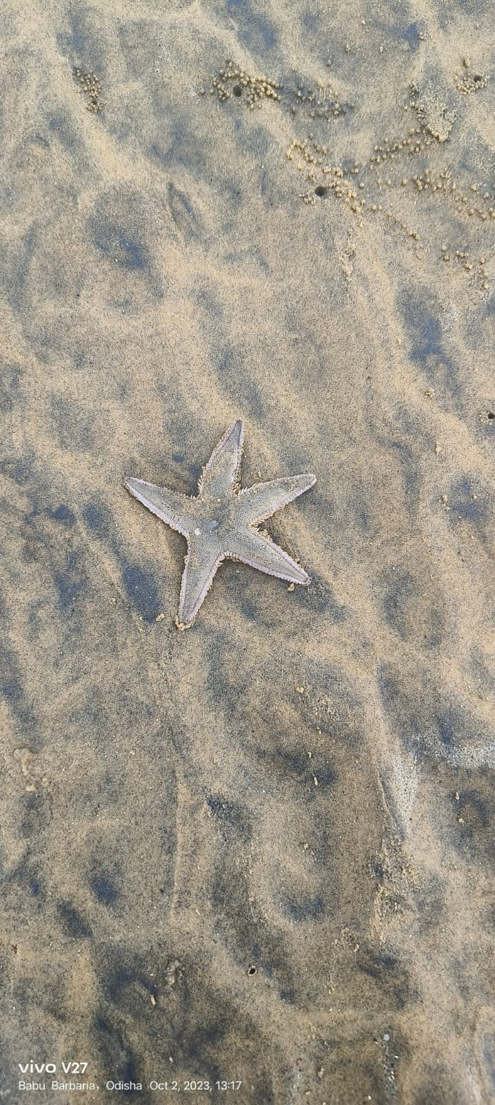 Talsari Sunset Point