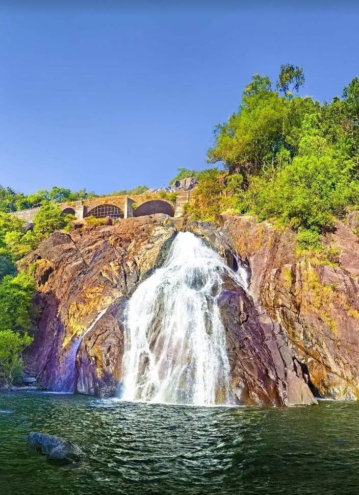 Mollem National Park & Bhagwan Mahavir Wildlife Sanctuary