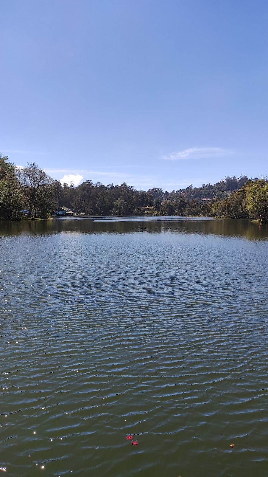 Kodaikanal Lake
