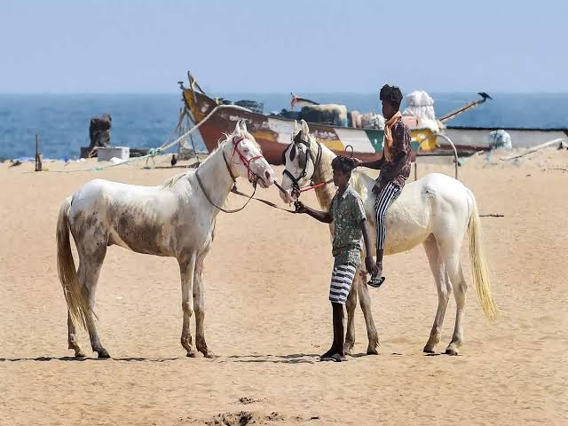 Marina Beach