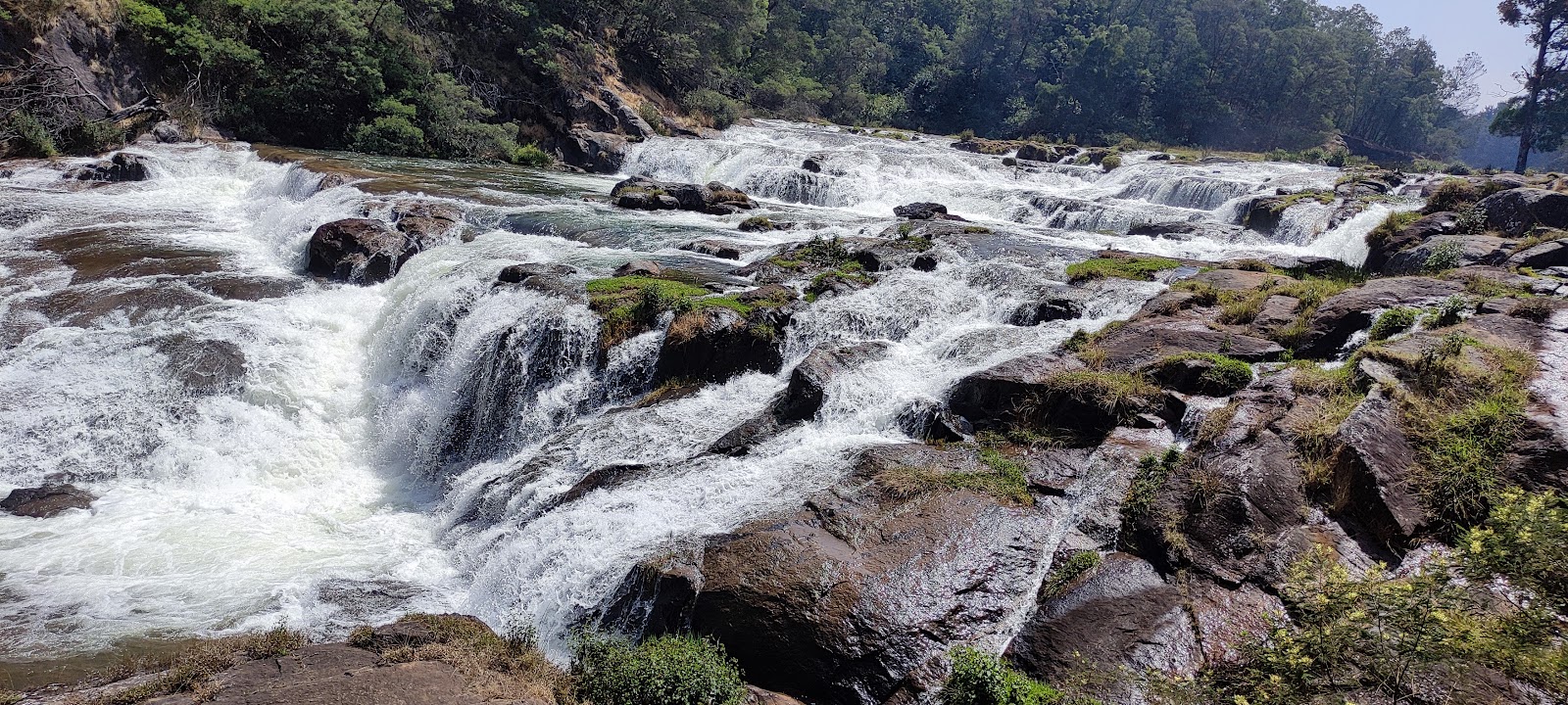 Mudumalai National Park