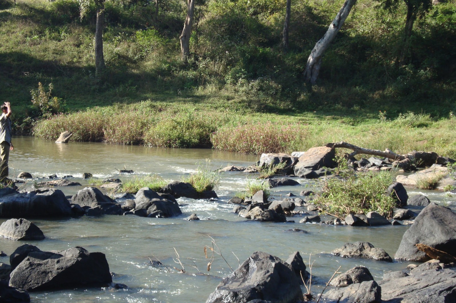 Mudumalai National Park