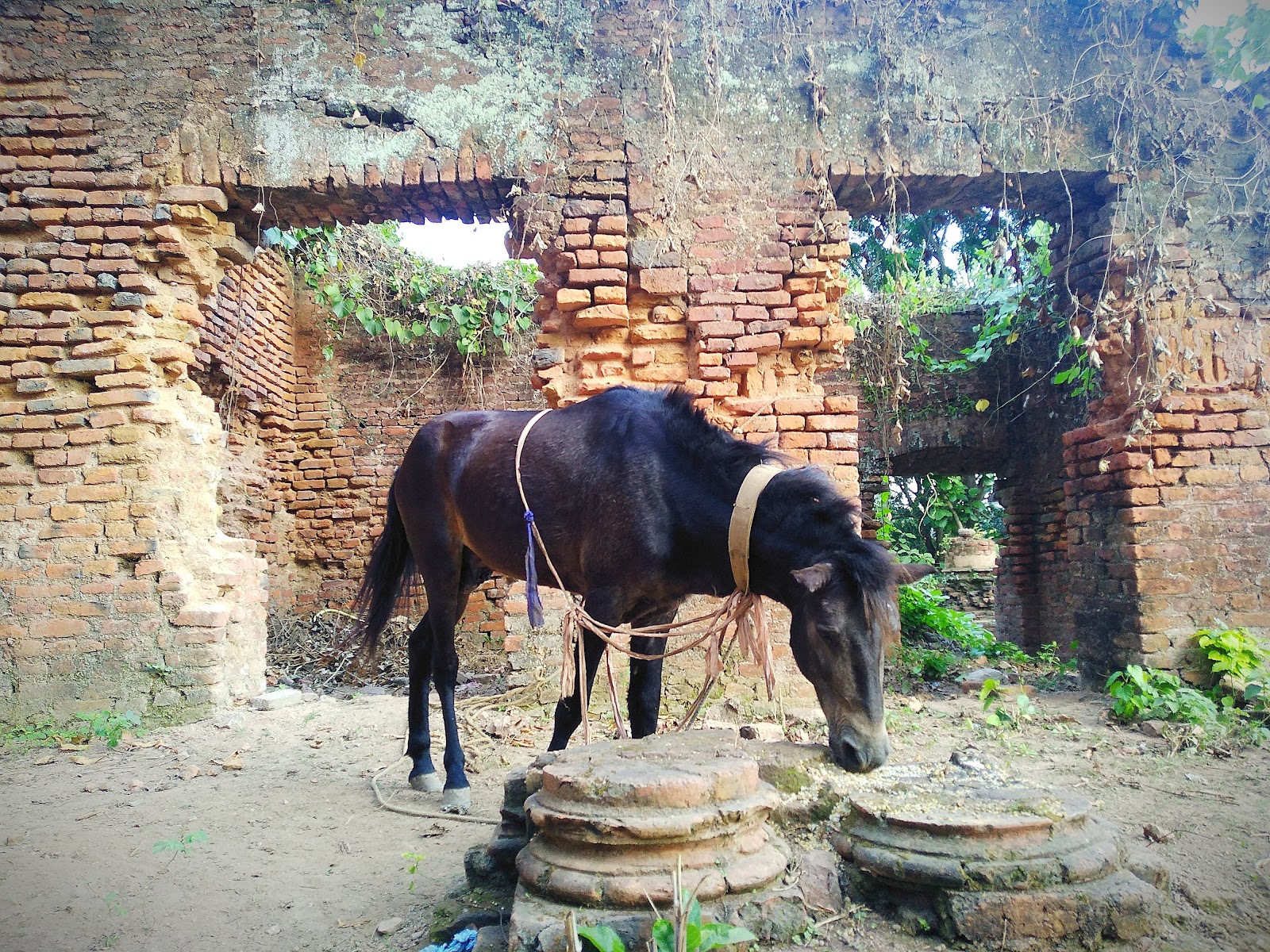 Tamluk Fort